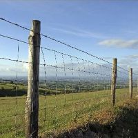 Metal Deer Fencing