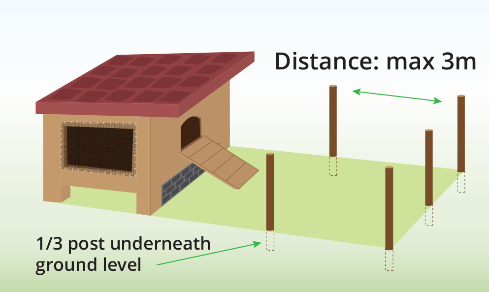 add-posts-around-chicken-run