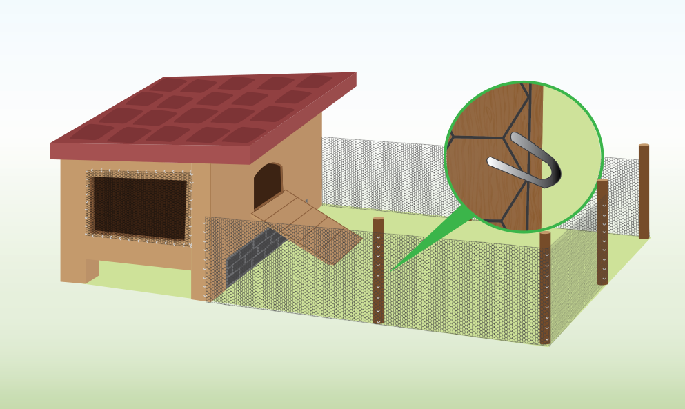 use-staples-to-attach-chicken-wire-to-posts-around-run