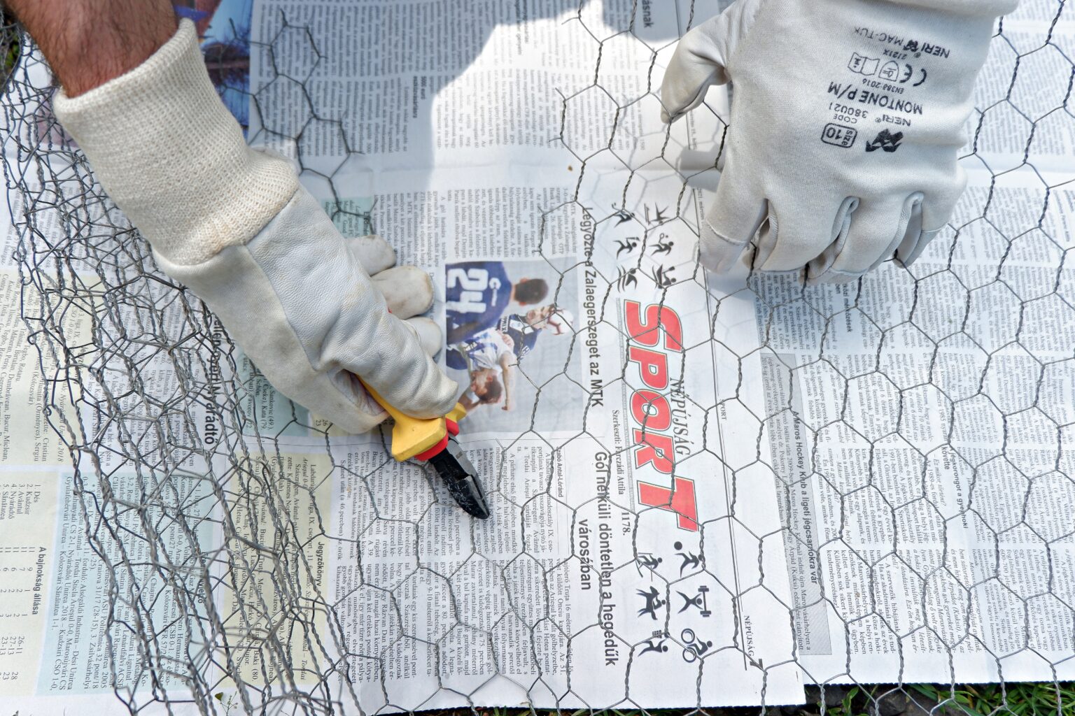 cutting-chicken-wire-with-wire-clippers