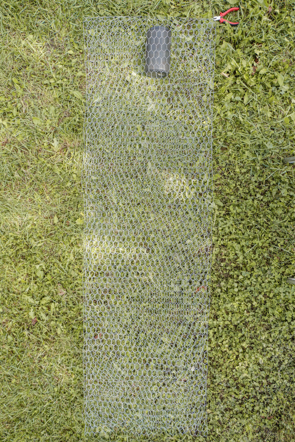 chicken-wire-cut-with-wire-cutters