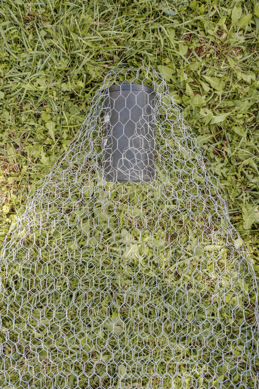 shaping-head-of-a-chicken-wire-ghost