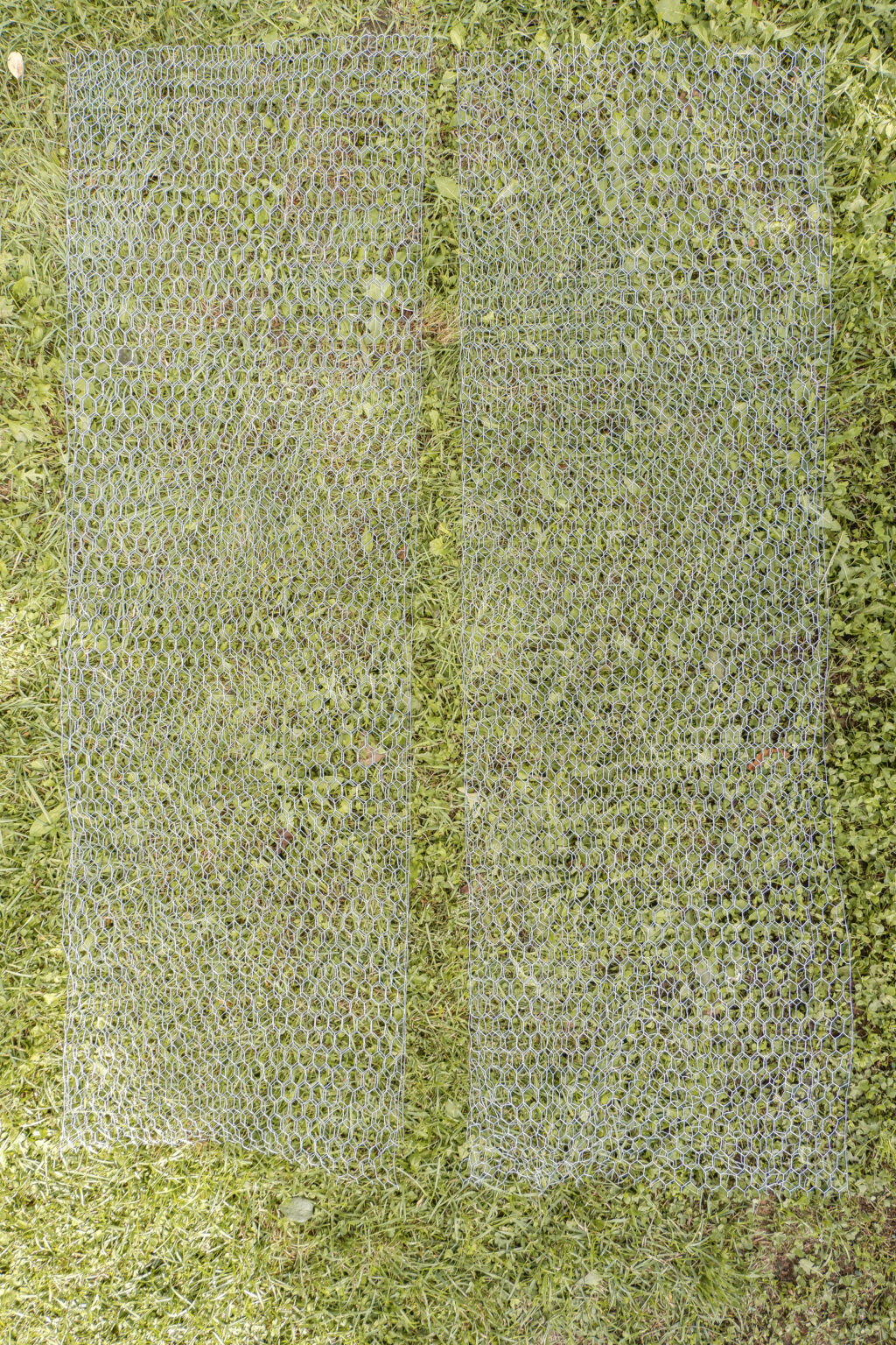 two-equal-pieces-of-chicken-wire