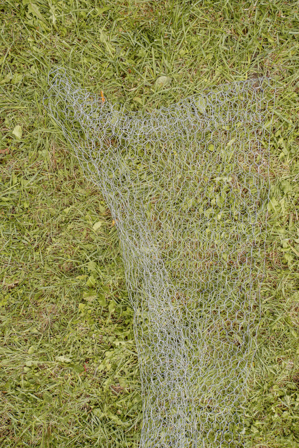chicken-wire-ghost-arm-shape