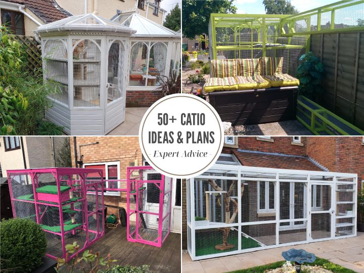 catio-ideas