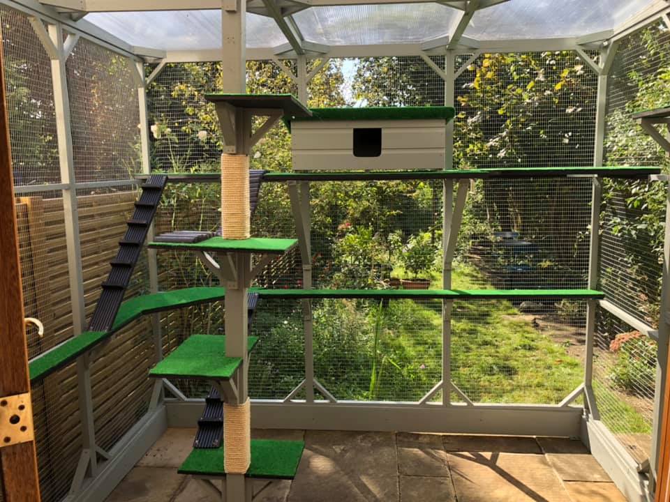 green-catio