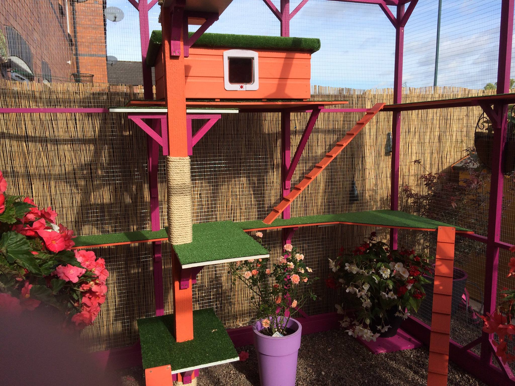 colourful-cat-enclosure
