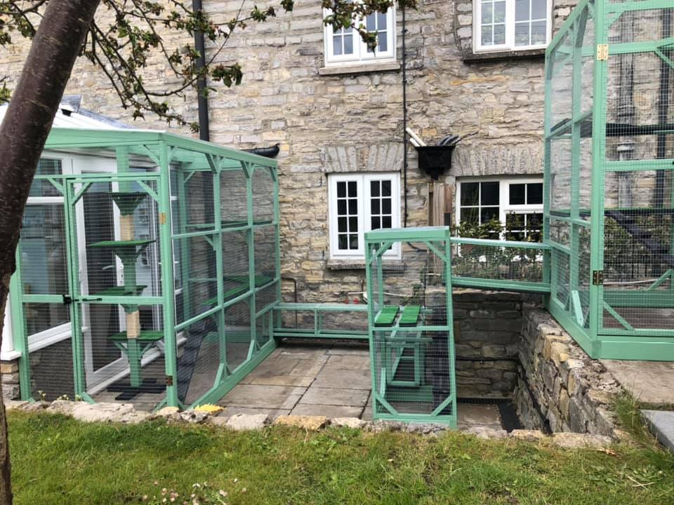 green-mint-catio