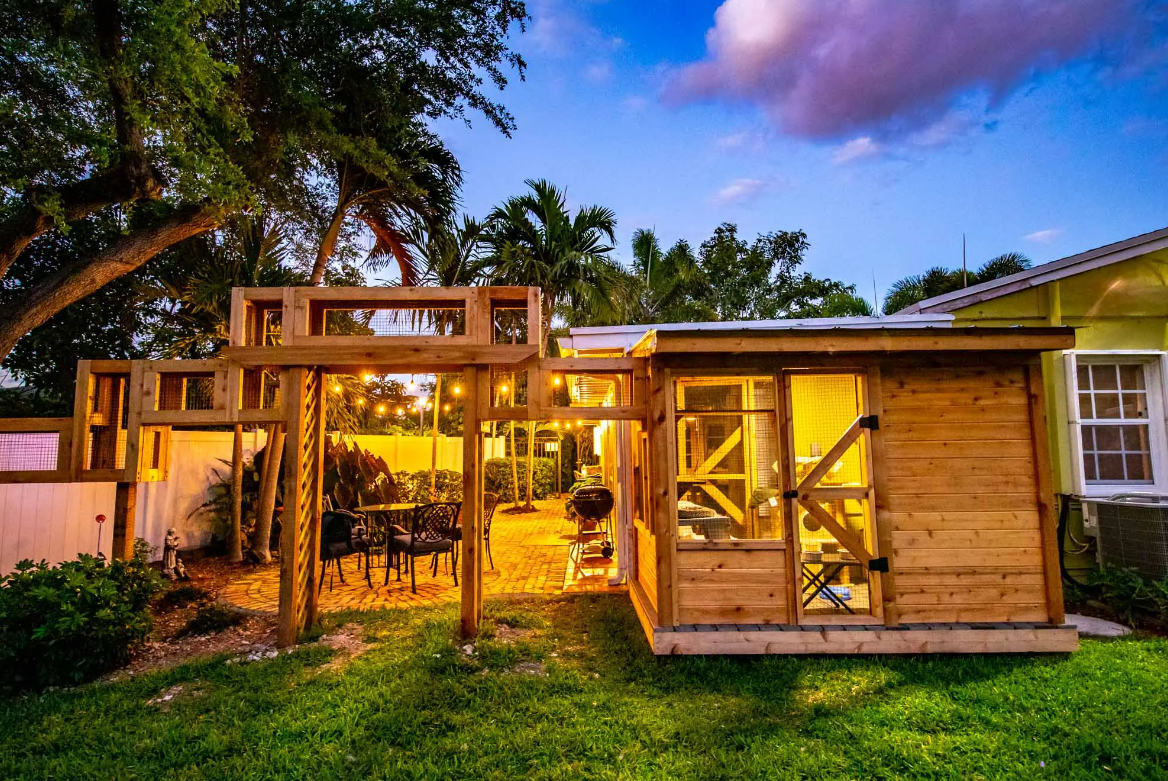 summer-evening-catio