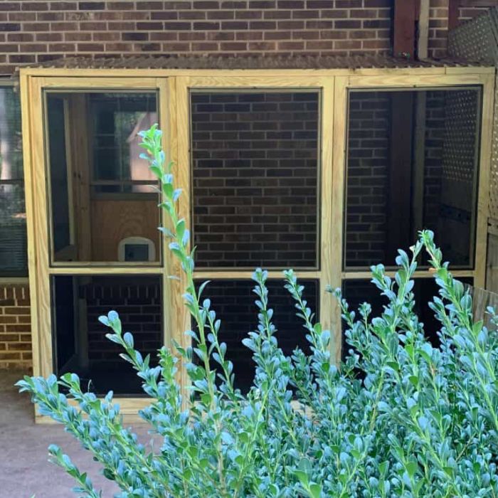 simply-effective-catio