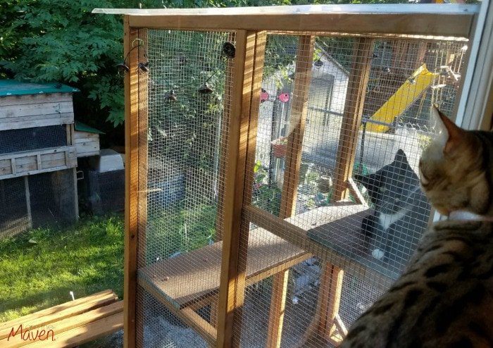 classic-simple-catio