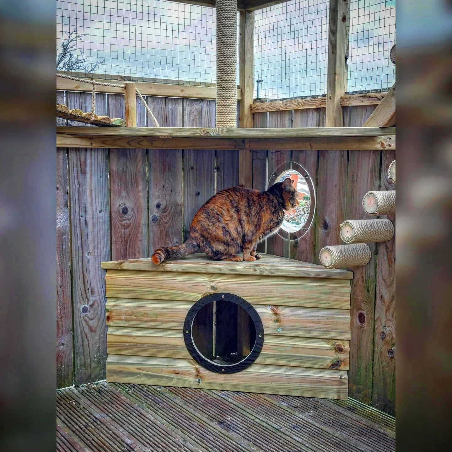 look-out-the-window