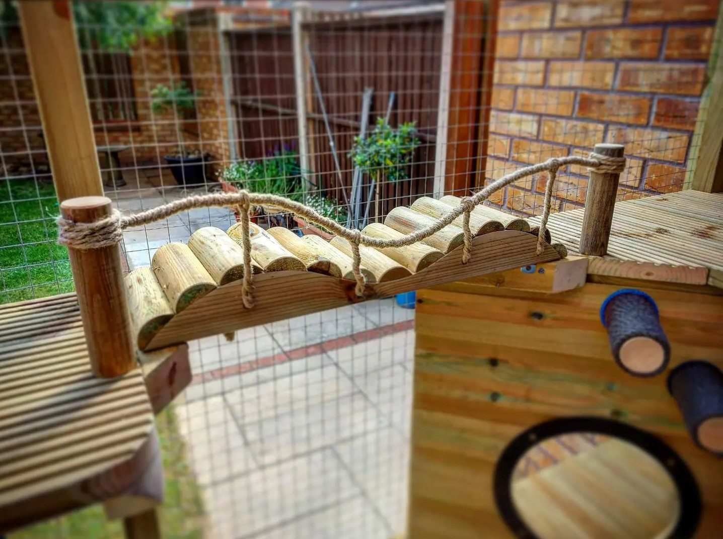 bridge-catio