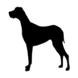 Very large dog