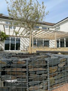 round-gabion-planter