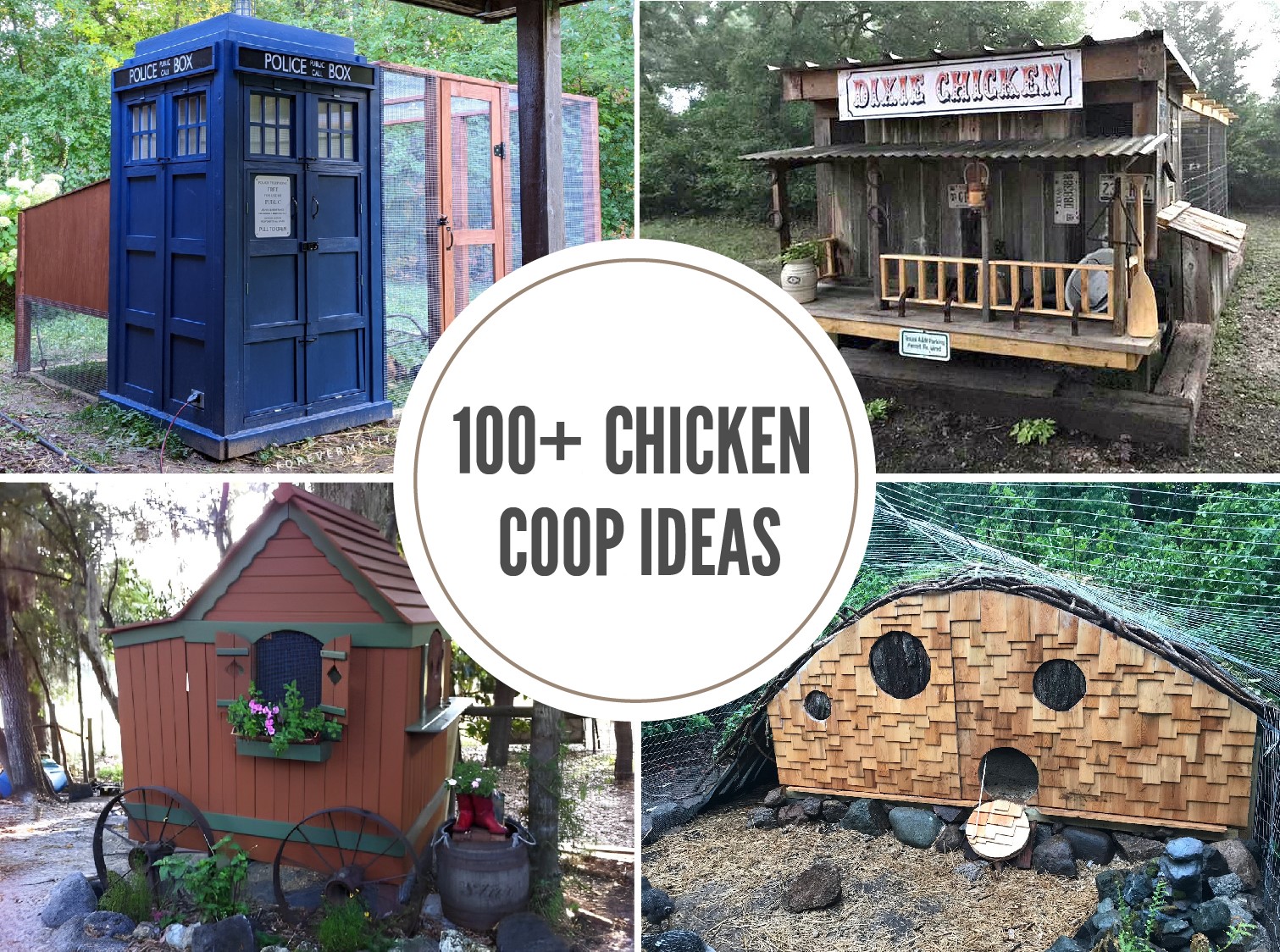 chicken-coop-ideas