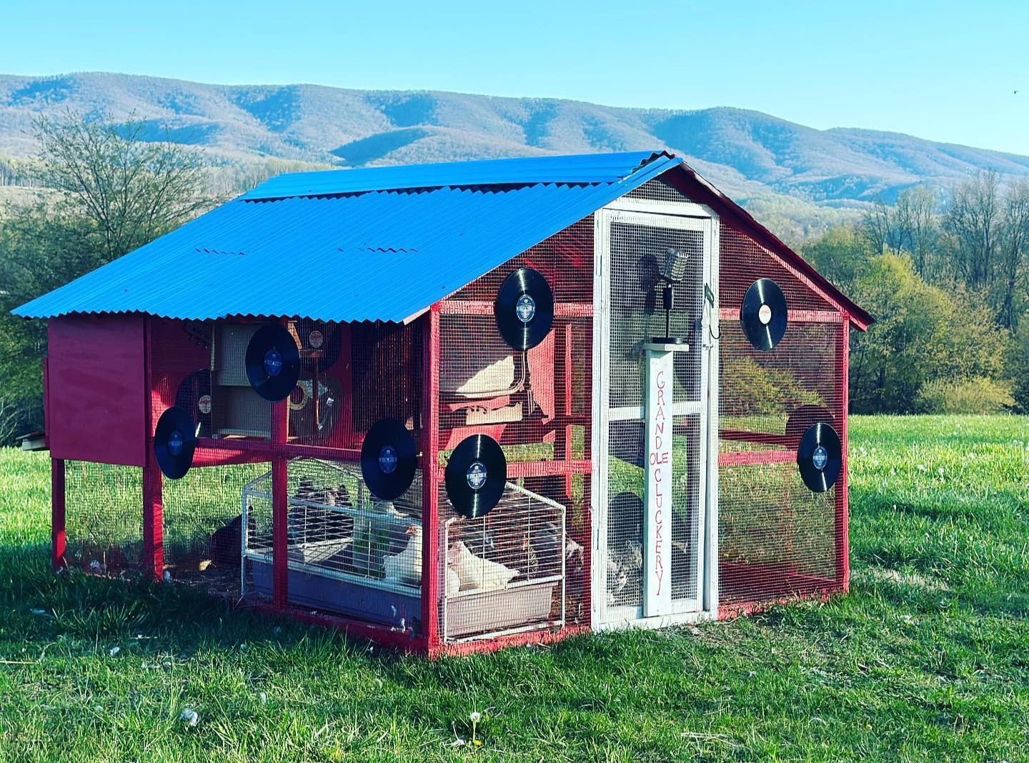 vinyl-coop