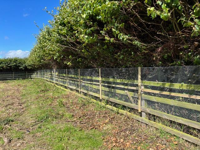 chicke-wire-fence-cover