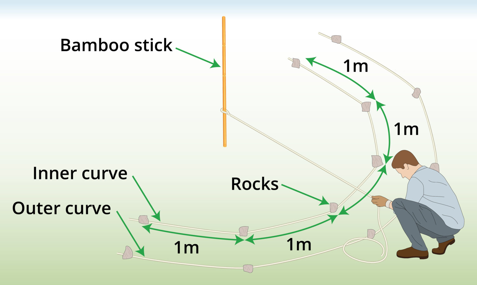 mark-the-curve
