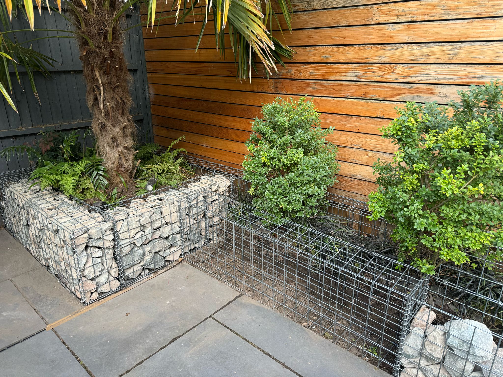 gabion-garden-project-progress