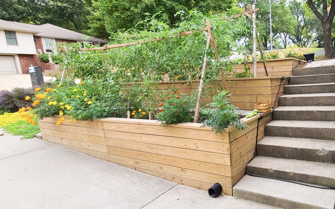 vegetable-garden-retainign-wall