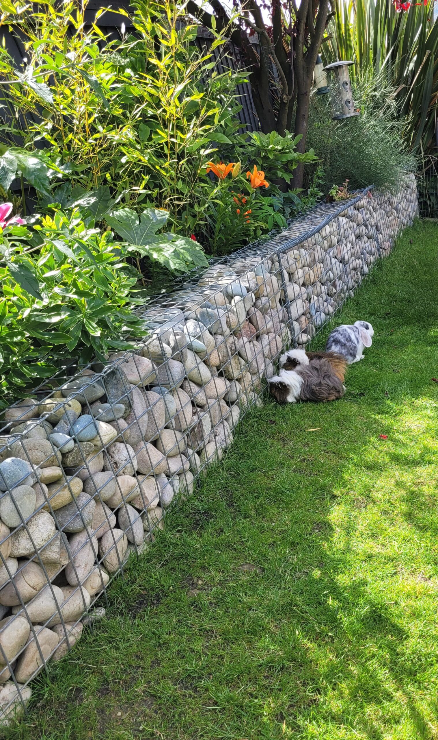natural-stone-filled-retaining-wall