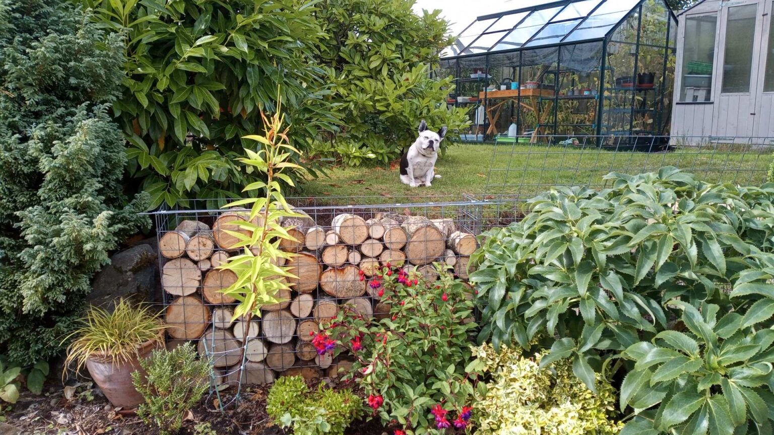 wood-filled-gabion