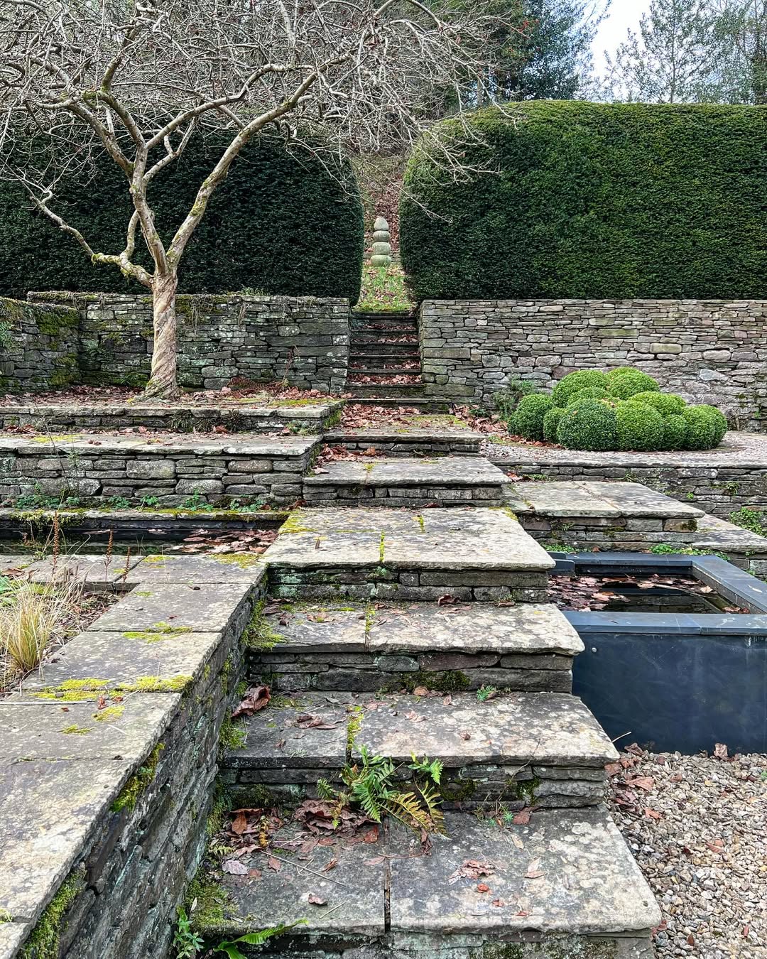 forest-stone-walls