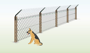 Stop-Dog-from-Jumping-Over-Fence