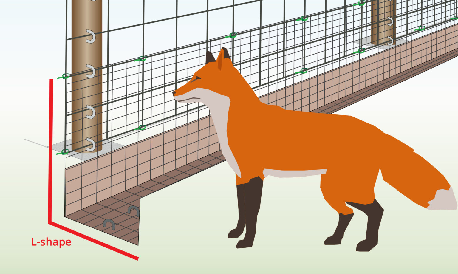 foxes-digging