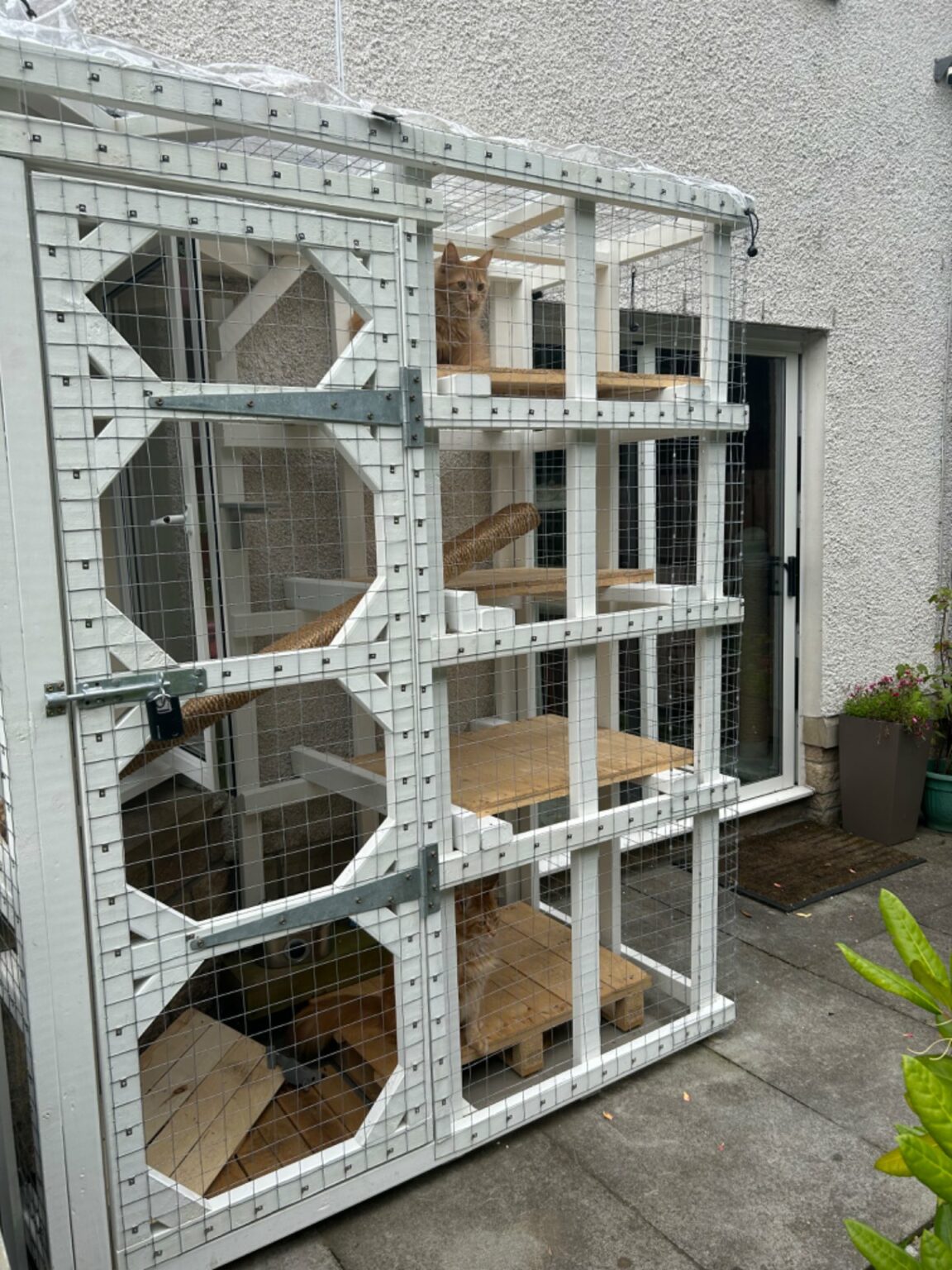 outdoor-garden-catio-mesh