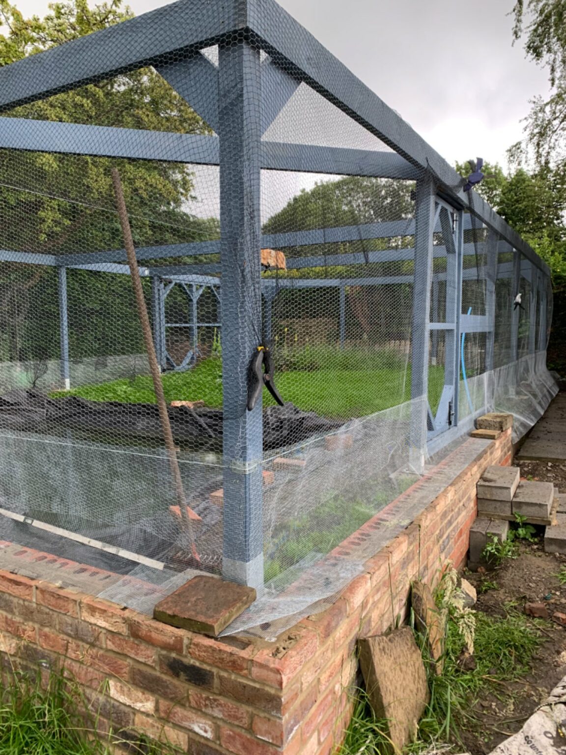chicken-wire-duck-enclosure