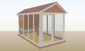 level-ground-for-chicken-coop