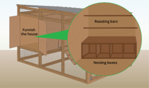 add-nesting-box-and-roosting-bar