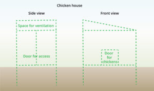 plan-and-design-chicken-house