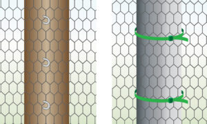 secure-chicken-wire-to-different-posts