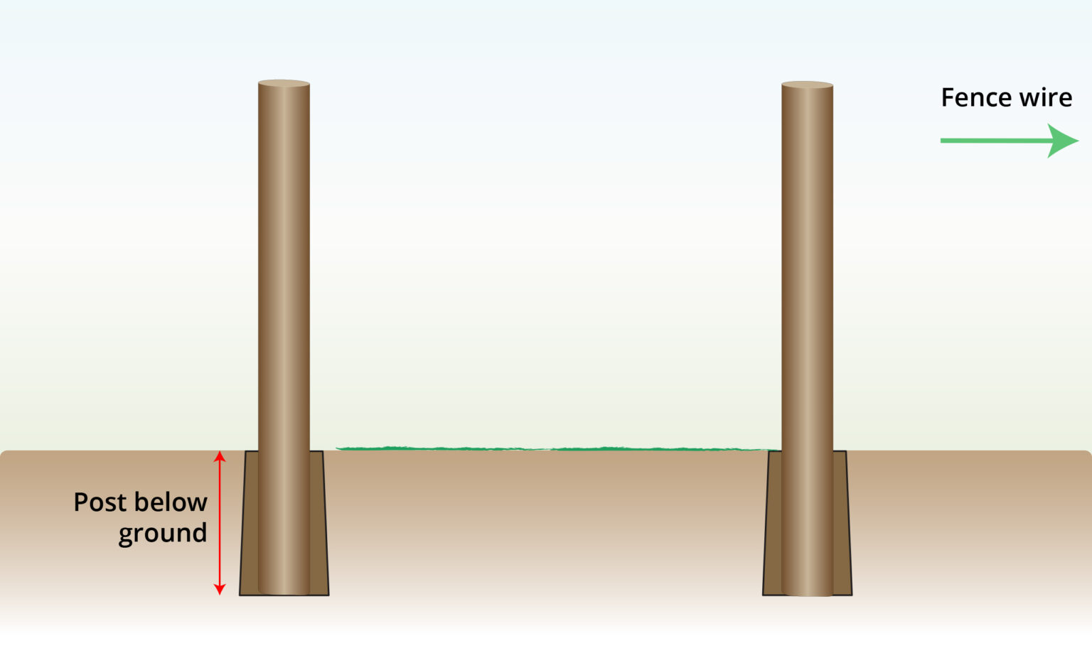 set-primary-posts