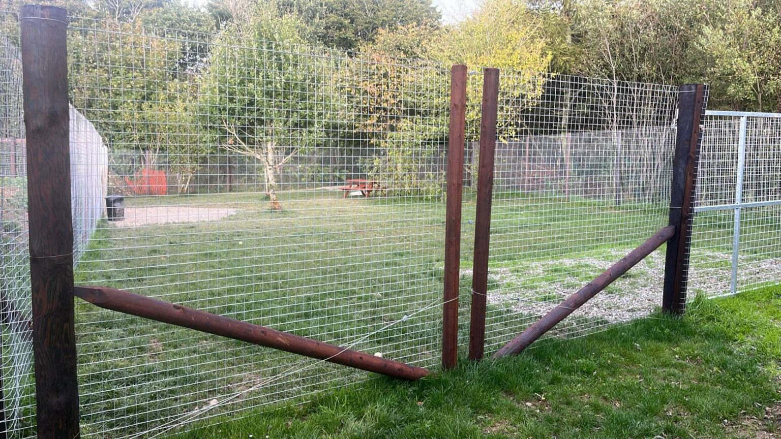 dog-kennel-fence