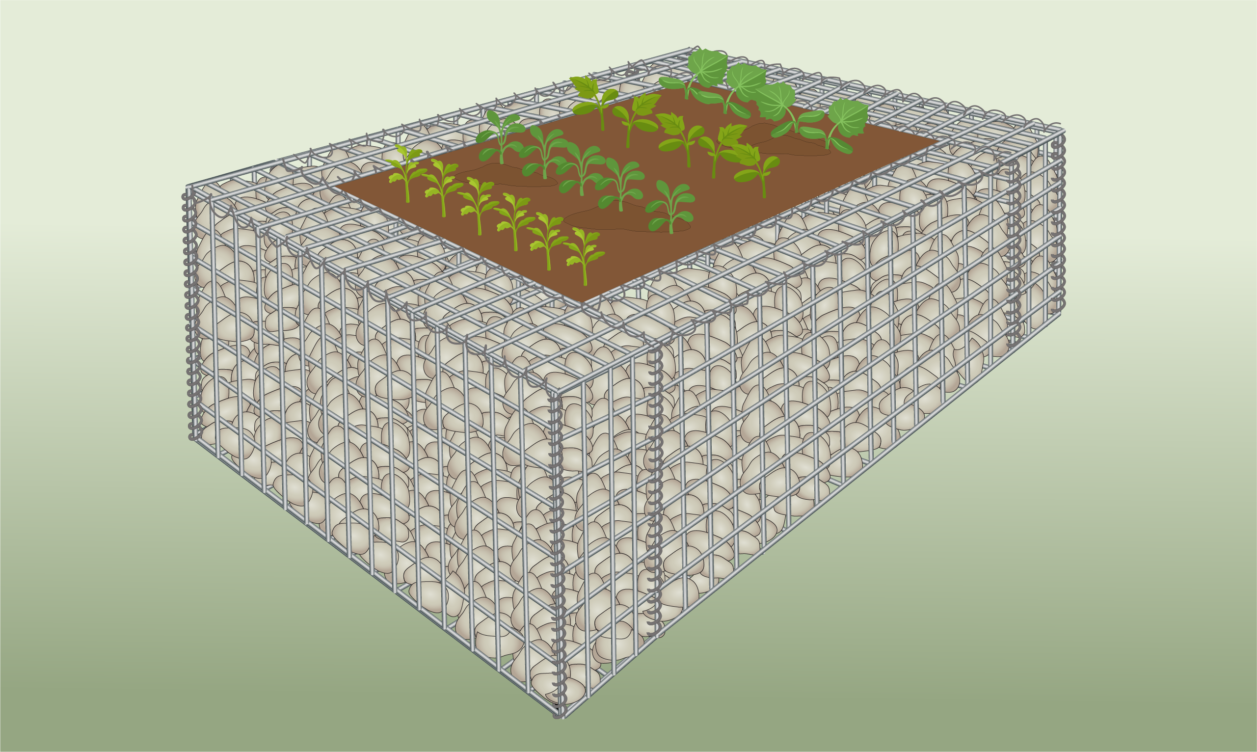 gabion-raised-bed