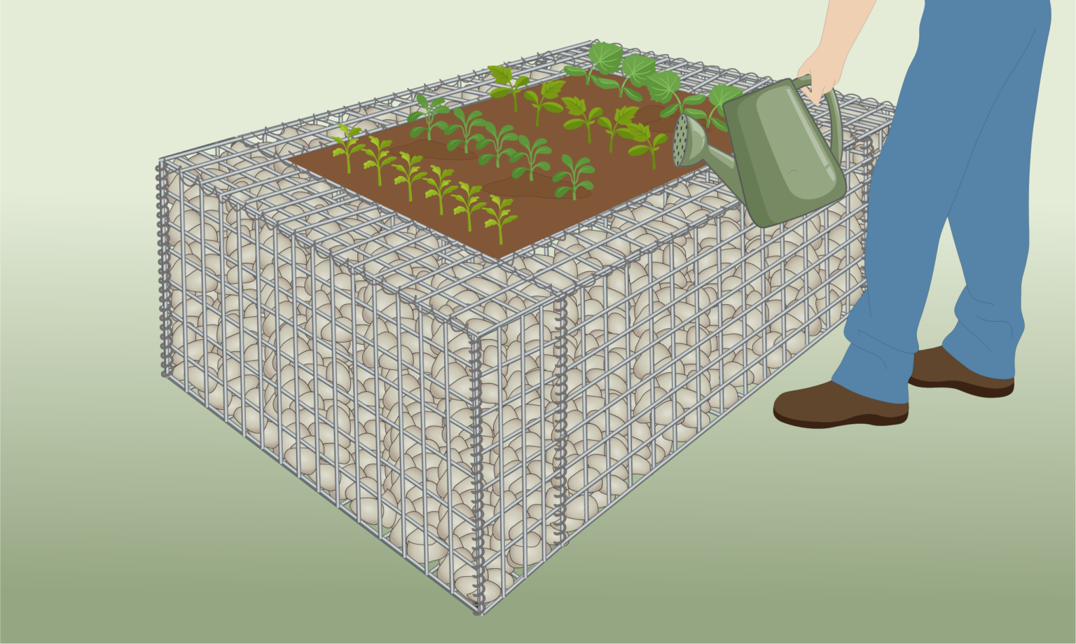 plant-gabion-raised-bed