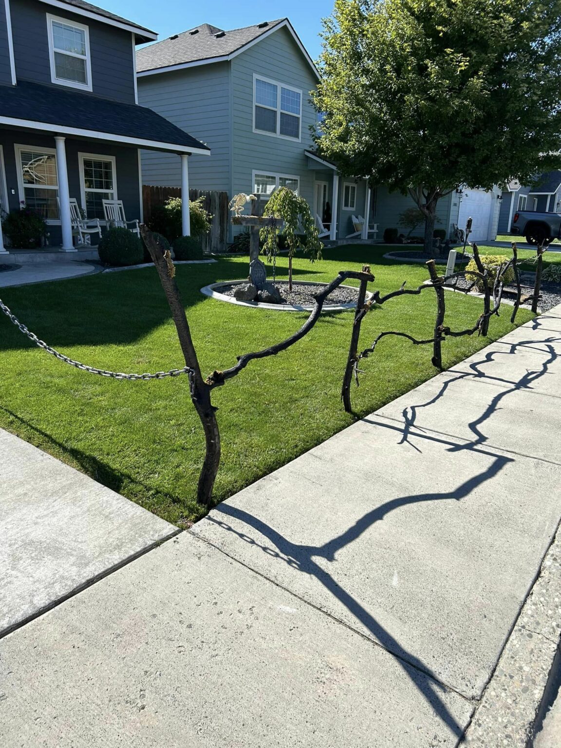 branch-fence