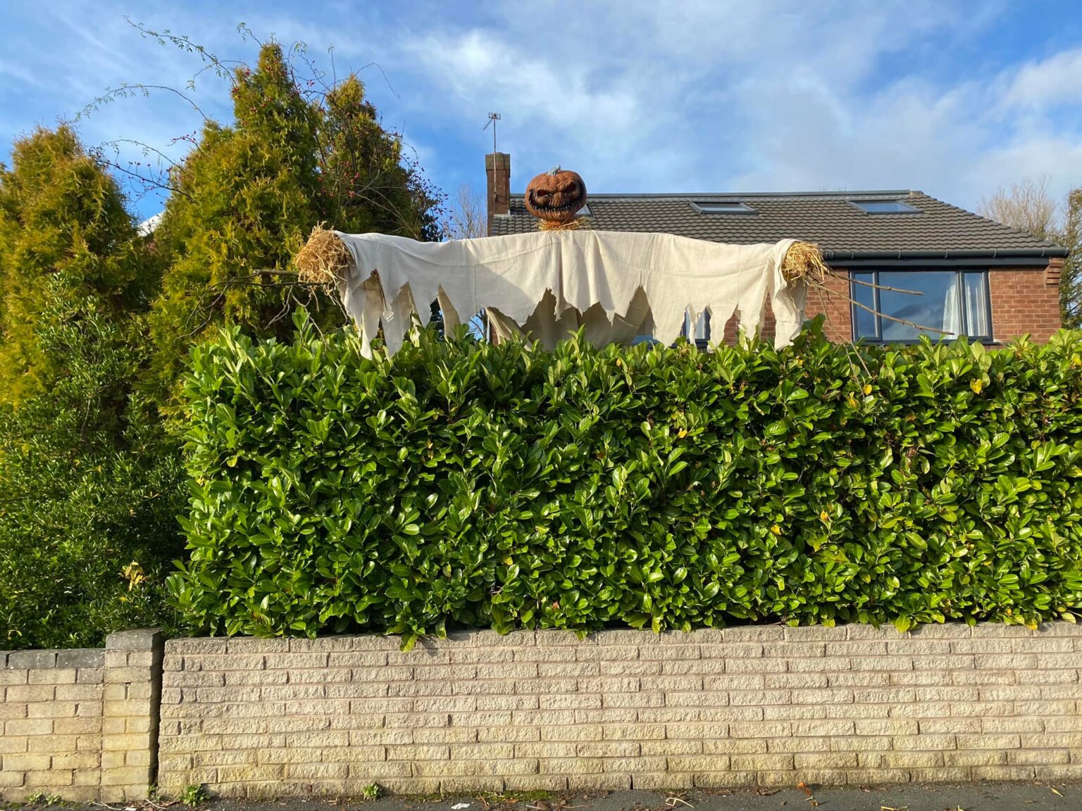Scarecrow-bush