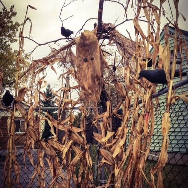 raven-scarecrow