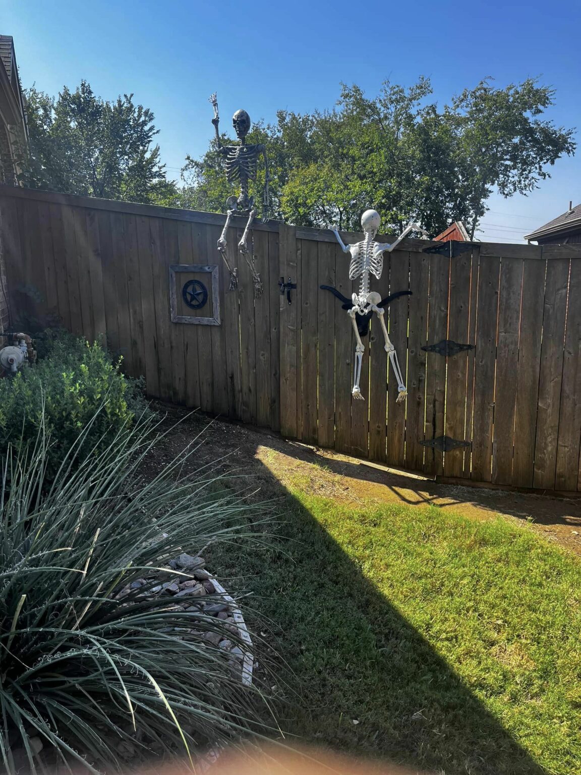 skeleton-on-fence