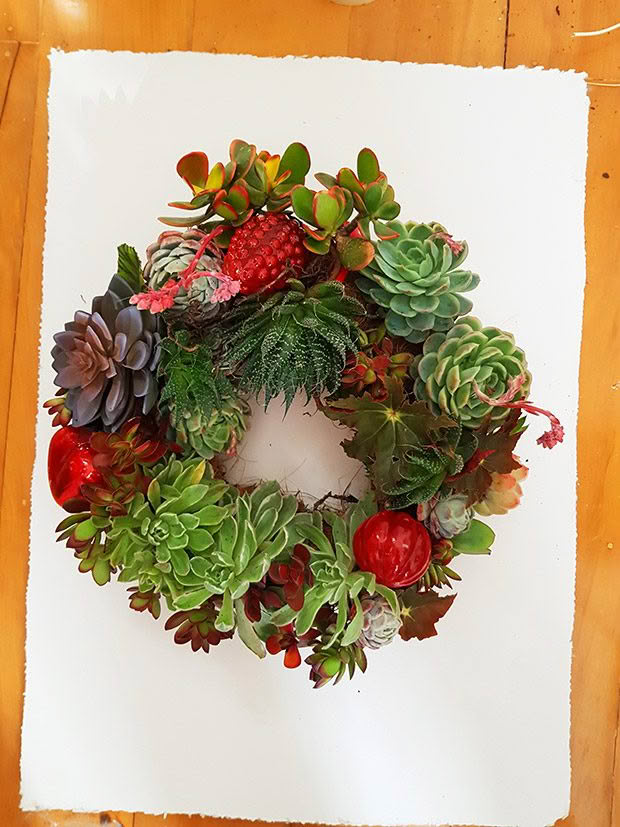 succulent-wreath