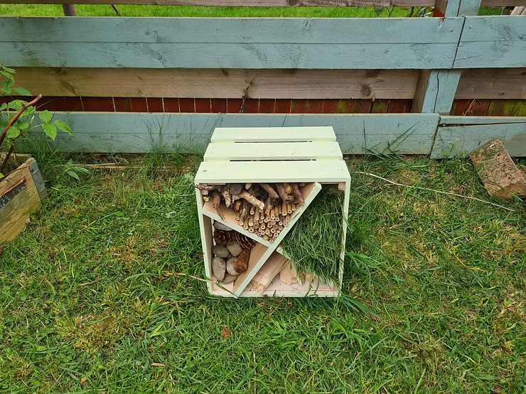 wooden-box-for-insects