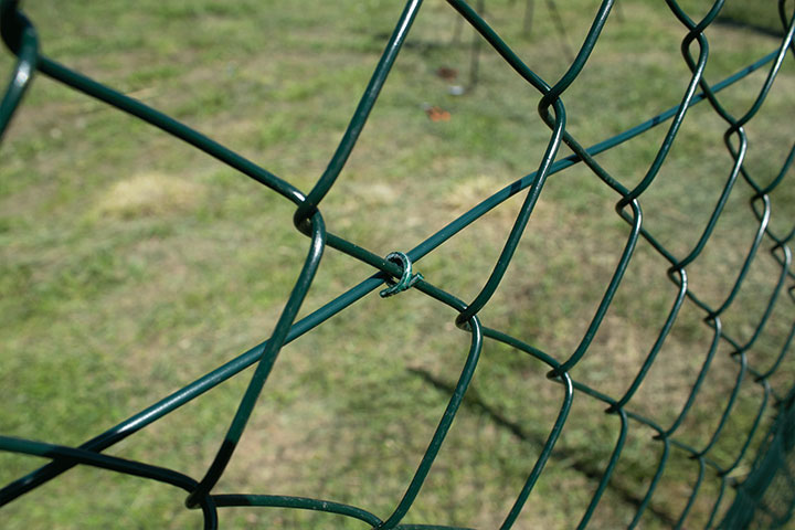 chain-link-and-hogrings